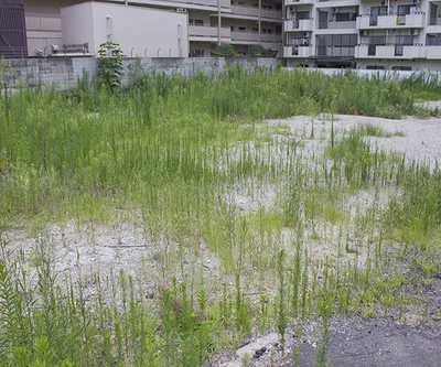 土地活用にはさまざまな方法があります